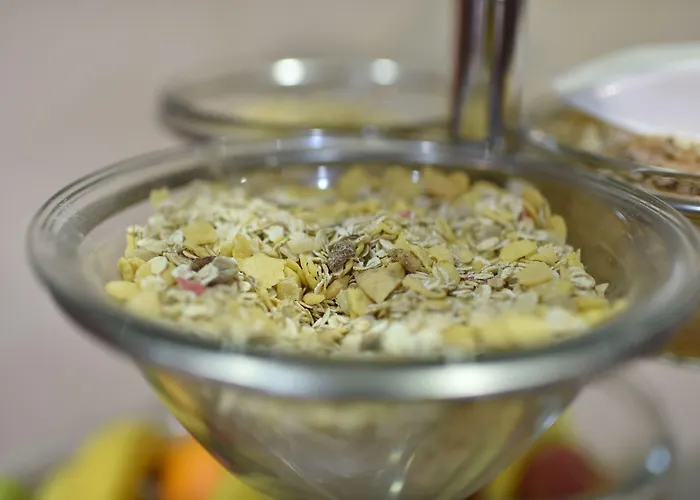 Отель Balkan Garni